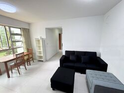 Blk 312B Clementi Ridges (Clementi), HDB 3 Rooms #552353661